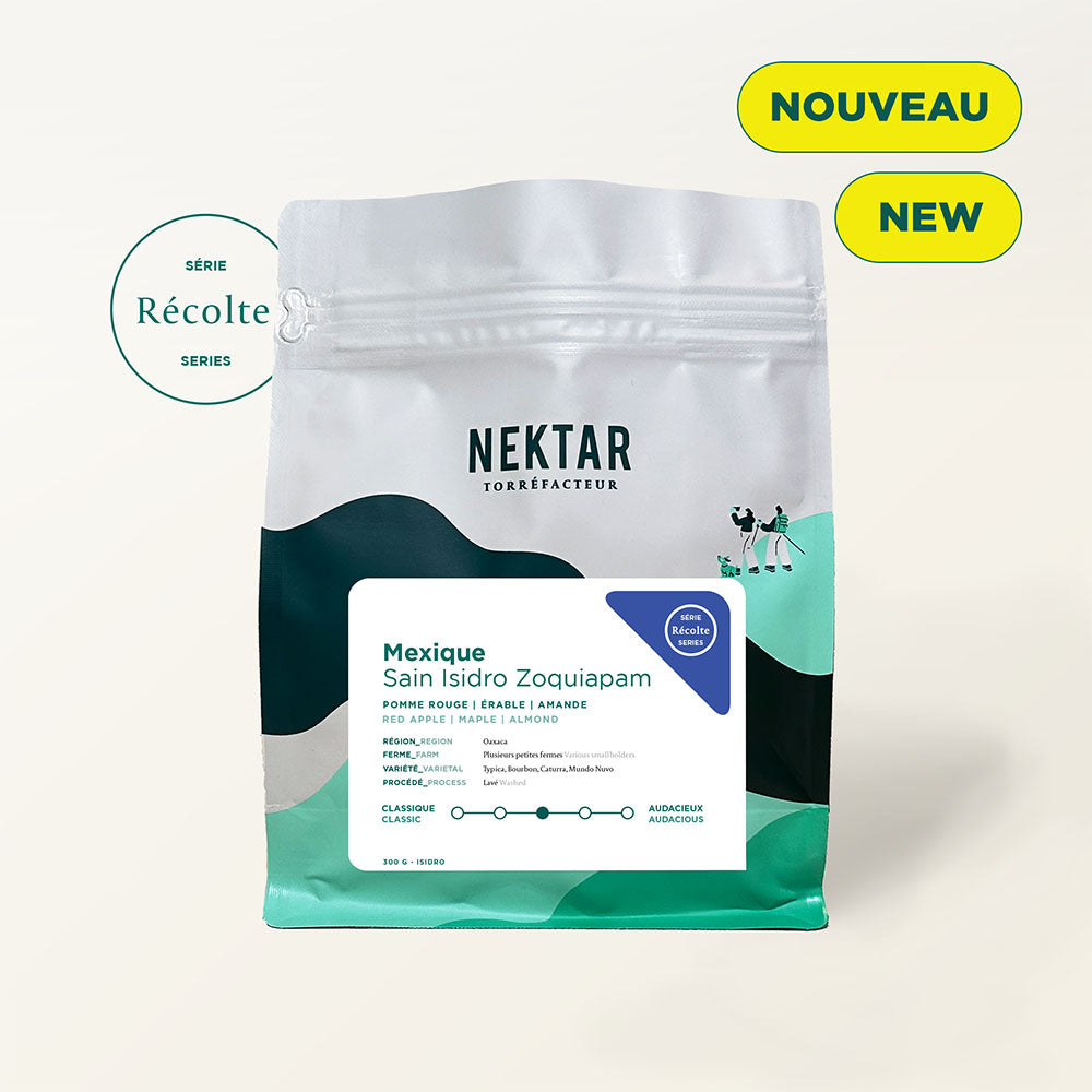 Mexico - San Isidro Zoquiapam