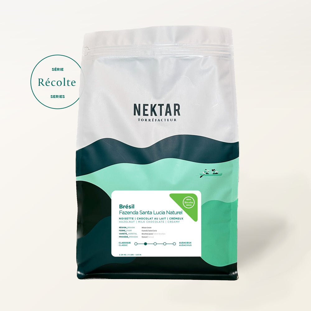 Brazil - Fazenda Santa Lucia Natural
