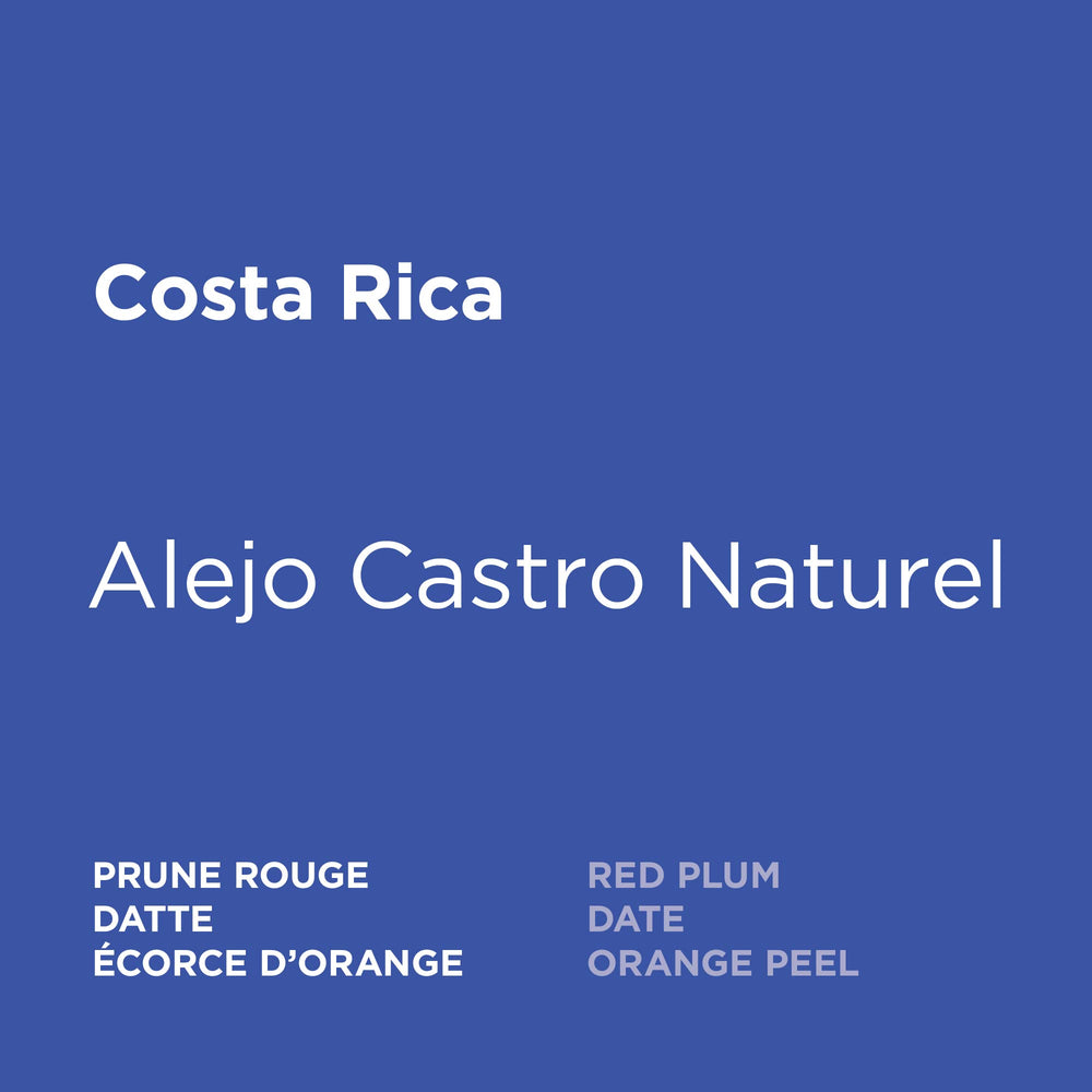 Costa Rica - Alejo Castro