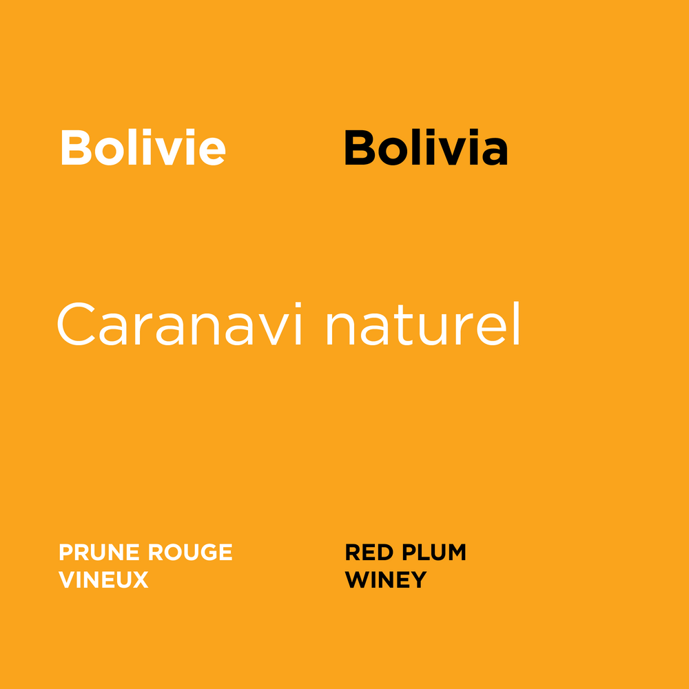 Bolivie - Caranavi Women's Blend Natural