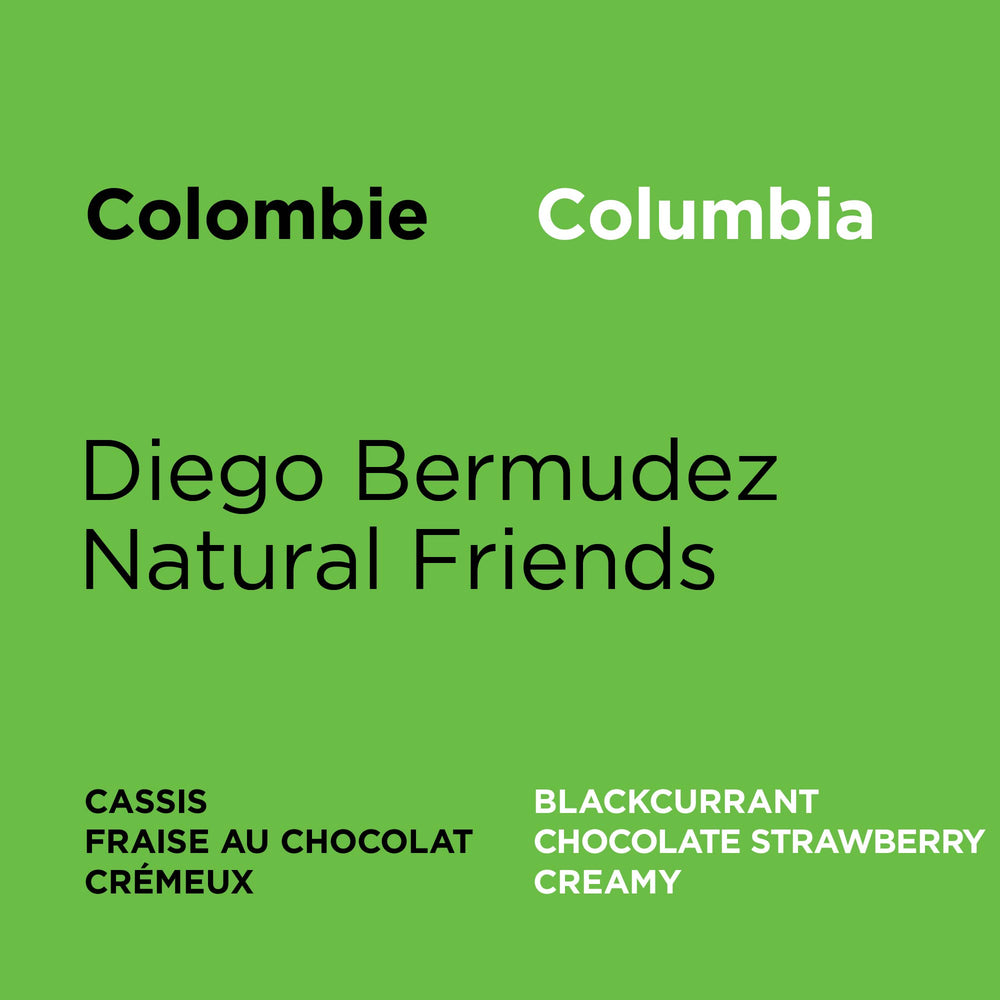 Colombia - Diego Bermudez Natural Friends