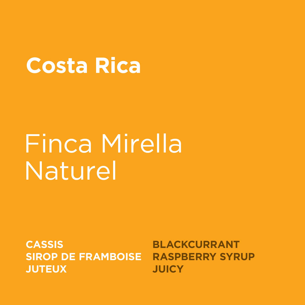 Costa Rica - Finca Mirella Natural