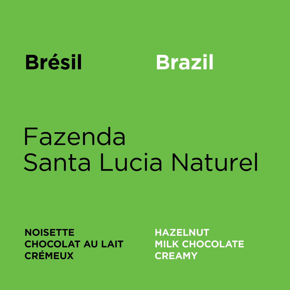 Brazil - Fazenda Santa Lucia Natural