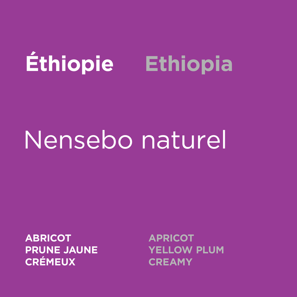 Ethiopia - Nensebo Natural