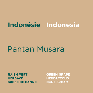 
            
                Load image into Gallery viewer, Indonesia - Pantan Musara
            
        