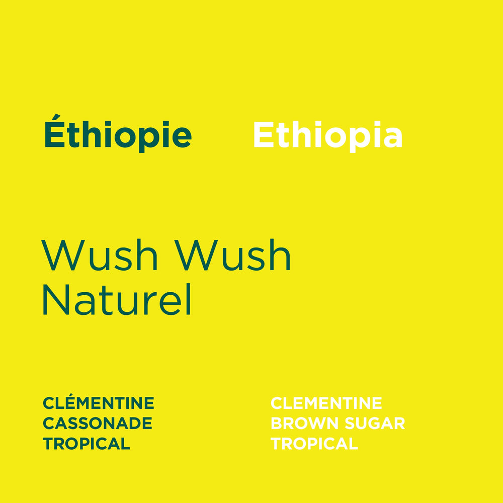 Ethiopia - Wush Wush Natural