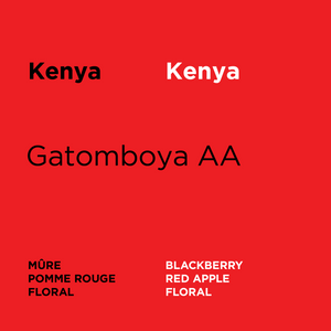 
            
                Load image into Gallery viewer, Kenya - Gatomboya AA
            
        