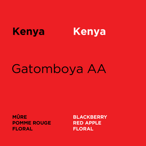 Kenya - Gatomboya AA