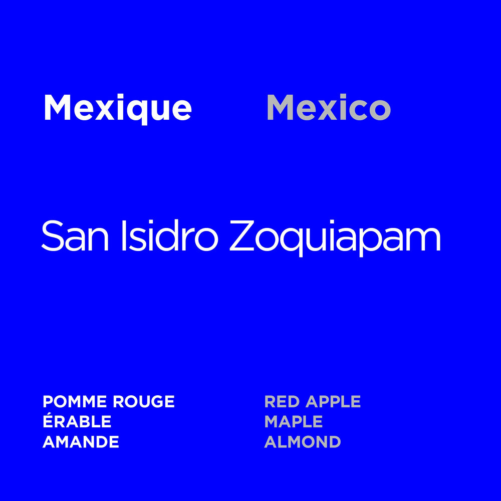 Mexico - San Isidro Zoquiapam