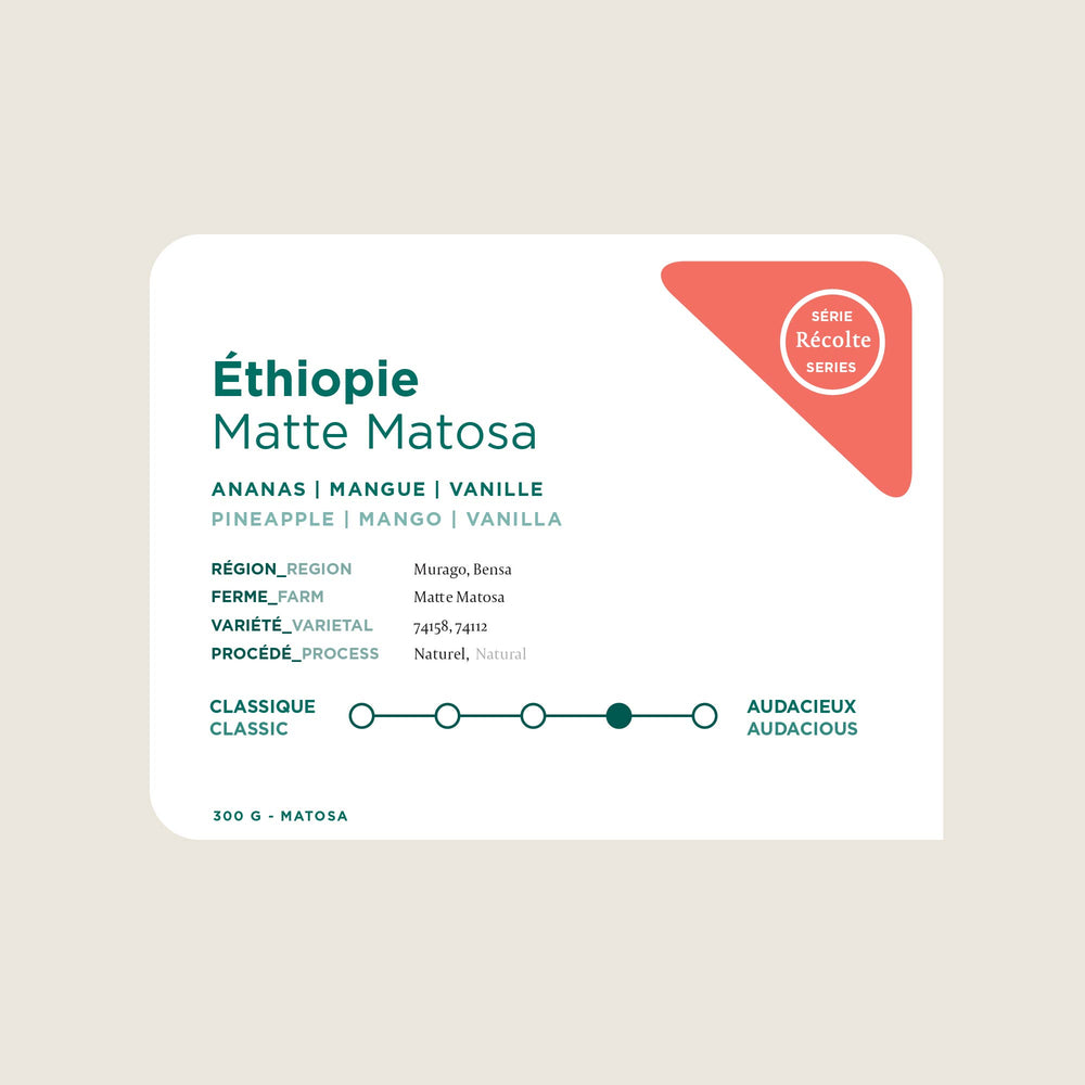 Holiday Bundle - Three bags of coffee