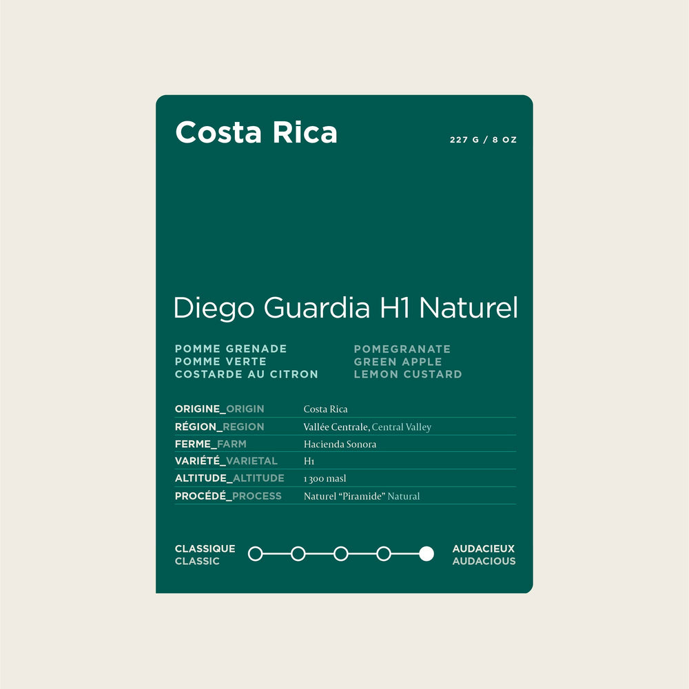 Costa Rica - Diego Guardia H1 Natural - Grand Cru #7